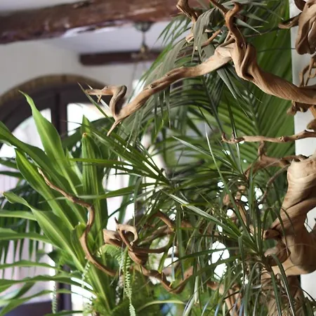 Domuseo 3* クアルトゥッチュ