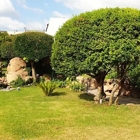 Domuseo 住宿加早餐酒店 3*