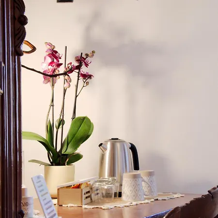 Domuseo Bed & Breakfast Quartucciu