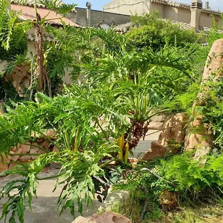 Domuseo Bed & Breakfast