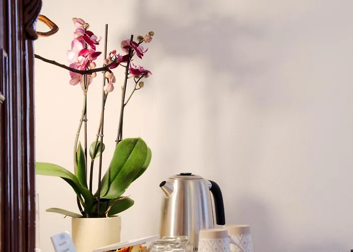 Domuseo Bed and breakfast Quartucciu