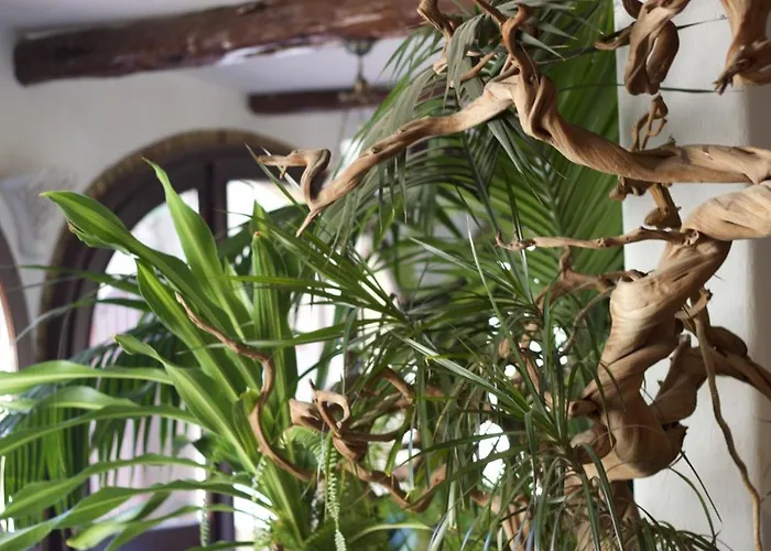 Domuseo 3* Quartucciu